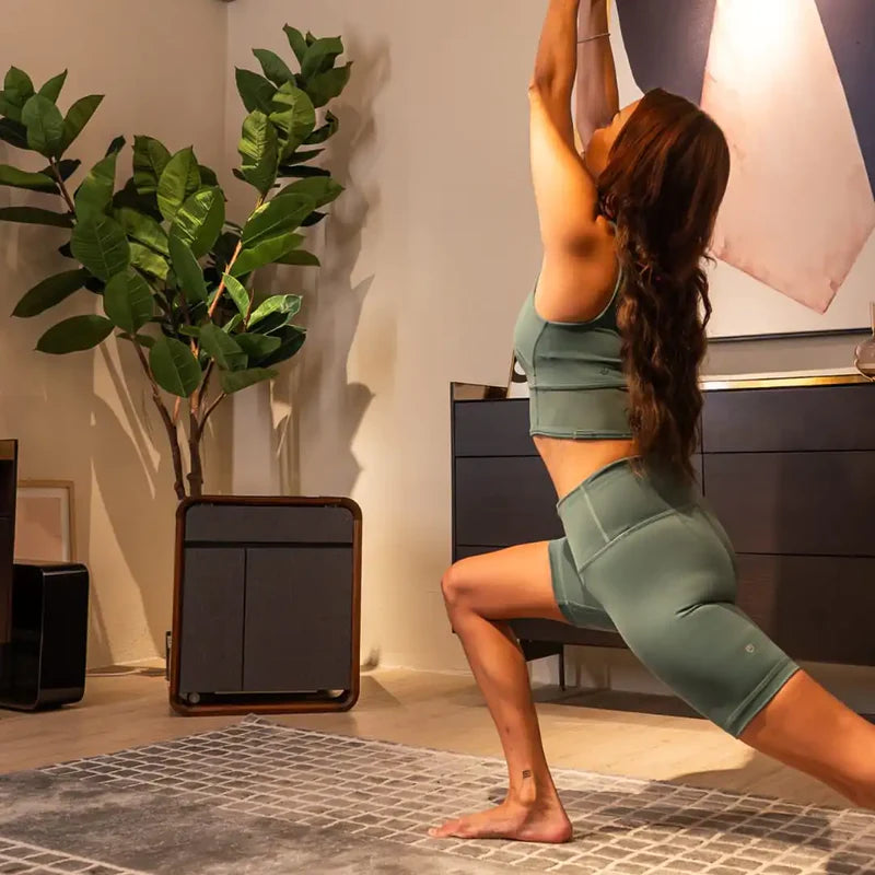 EVIS LuxeCube – Table de purification d'air intelligente